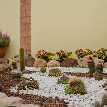 بيت ضيافة Il Corbezzolo Palmas Arborea